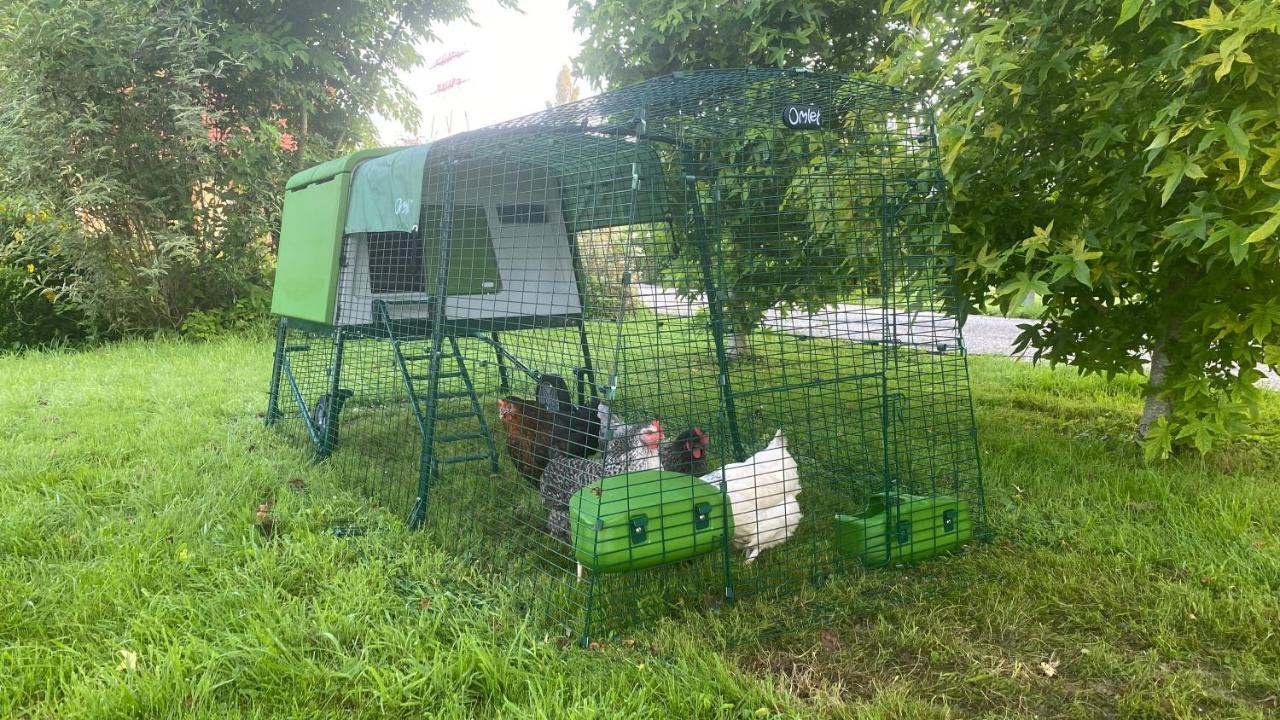 Berville-sur-Seine Les Mouettes - La Paix Du Bord De Seine 빌라 외부 사진